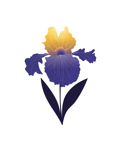 Abstract iris by Tanja Udelhofen