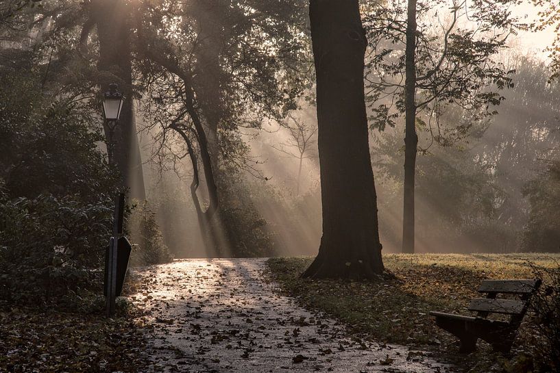 Kampen - Niederlande von Dries van Assen
