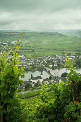 Doorkijkje op Piesport aan de Moezel (duitsland)