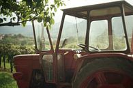 Tractor at a vineyard in Slovenia by Floris Verweij thumbnail
