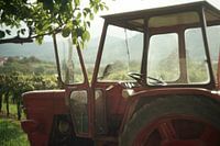 Tracteur dans un vignoble en Slovénie