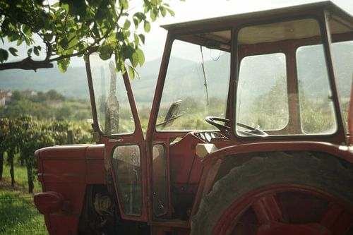 Traktor in einem Weinberg in Slowenien