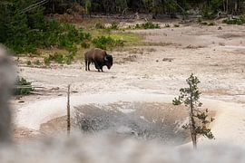 Yellowstone National Park by Studio Retouched fotoshop