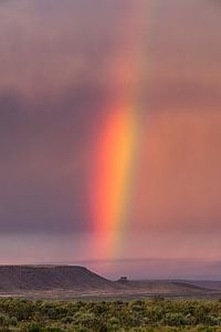 Ein Regenbogen in Arizona