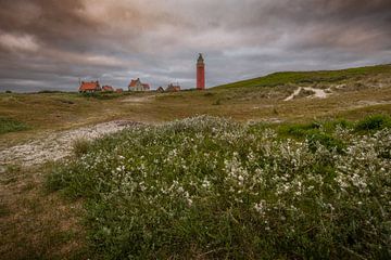 De Vuurtoren van Texel in het noordelijkste deel van Andy Luberti