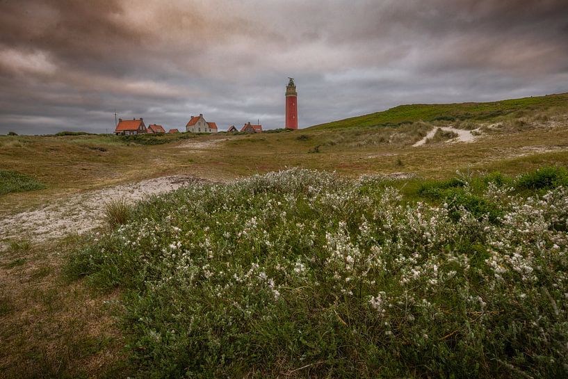 Le phare le plus septentrional de Texel par Andy Luberti