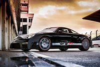 9ff GT9 Vmax op Circuitpark Zandvoort