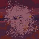 Kosmos der Farben. Lila, Flieder, Merlot und Rosa. von Dina Dankers Miniaturansicht