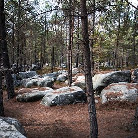 Les blocs de Fontainebleau sur Alice Primowees