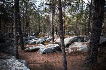 Die Felsbrocken von Fontainebleau von Alice Primowees