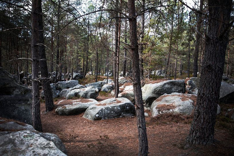 Les blocs de Fontainebleau par Alice Primowees