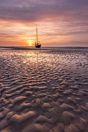 Mise à sec sur l'Engelsmanplaat, dans la mer des Wadden