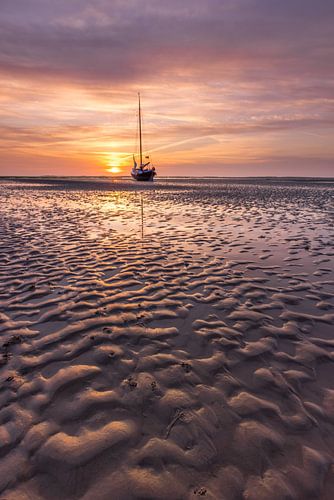 Eb op de  Engelsmanplaat in de waddenzee