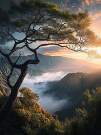 Hiking in the mountains
