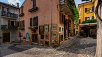 Rustic courtyard in Torri del Benaco on Lake Garda by Rene Siebring thumbnail