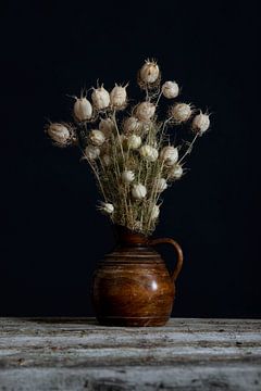 Nigelle séchée dans un vase sur Anjo Kan