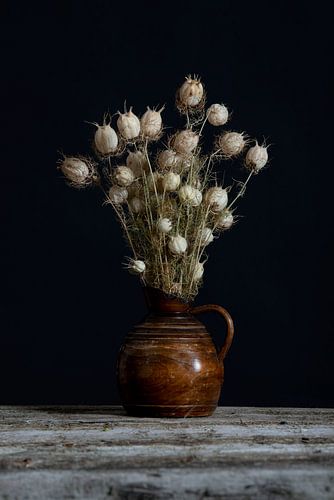 Nigella gedroogd in vaas