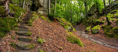 Mullerthal, 'Little Switzerland' Luxembourg
