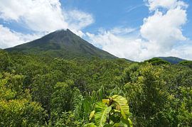 View of the Arenal volcano near La Fortuna in Costa Rica by Alexander Ließ