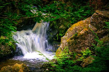 Cascade de la Pissoire, France sur Lex van Lieshout