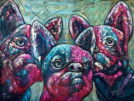 Pipos von Christel De Buyser