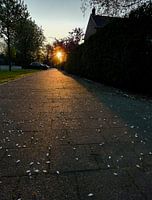 Leuchtend