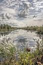 Spiegelende wolkenpartij in natuurgebied De Deelen in Friesland van Harrie Muis thumbnail