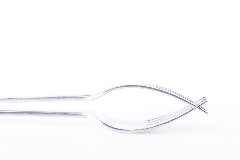 Double fork 2 by Hille Monster