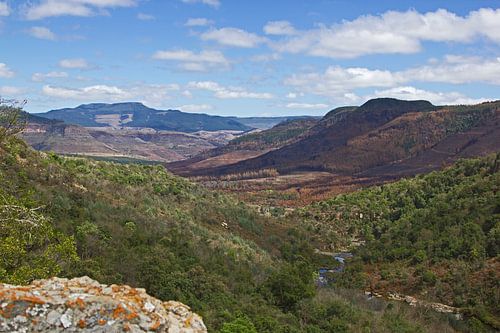 Rivier door de canyon in Zuid-Afrika