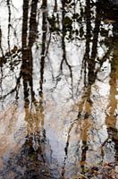 Weerspiegeling