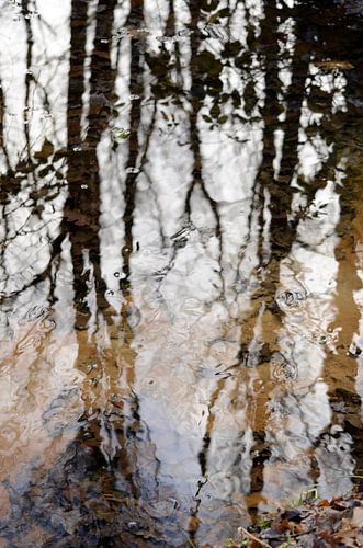 Weerspiegeling