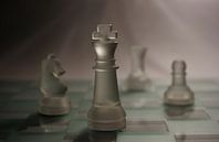 Chess by Tessa Louwerens thumbnail