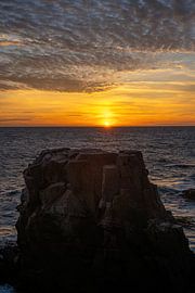 The silent sentinel by Gerry van Roosmalen