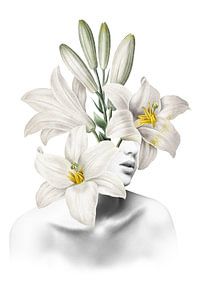The Lily Muse