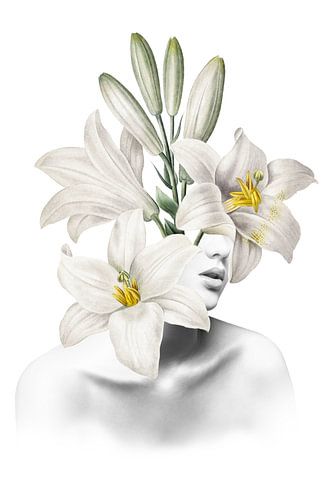 The Lily Muse