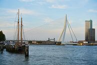 De Erasmusbrug vanuit de Veerhaven in Rotterdam van Richard de Boorder thumbnail