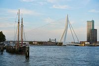 De Erasmusbrug vanuit de Veerhaven in Rotterdam