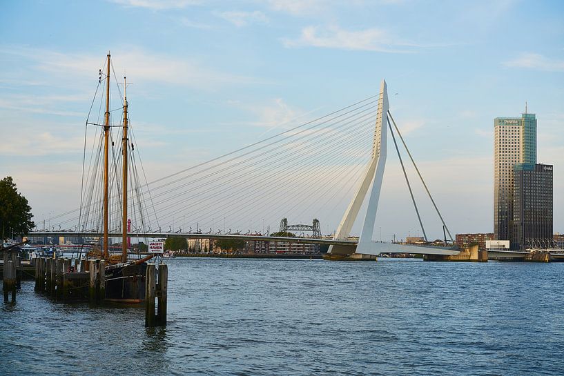 De Erasmusbrug vanuit de Veerhaven in Rotterdam van Richard de Boorder