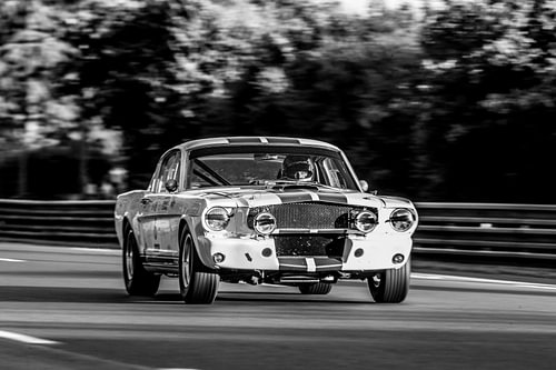 FORD MUSTANG GT 350 LE MANS CLASSIC