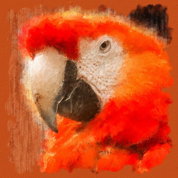 Porträt eines schönen Papageis (Kunst, Malerei) von Art by Jeronimo