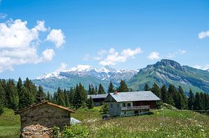 Le Mont Blanc vu du Cormet de Roselend.