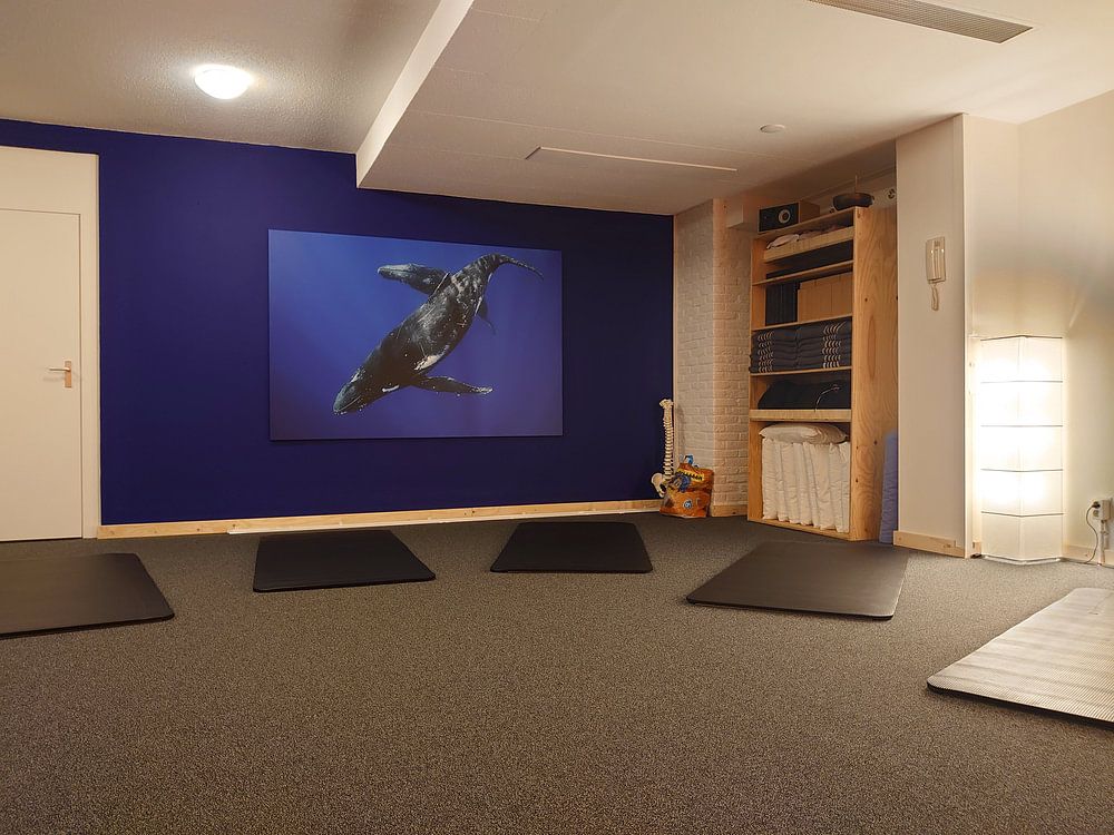 Twee bultruggen dansend in de Grote Oceaan  van Koen Hoekemeijer 