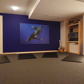 Customer photo: Two humpbacks dancing in the Pacific Ocean by Koen Hoekemeijer, on canvas