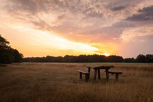 Genießen Sie die Aussicht in der Landschaft von Drenthe
