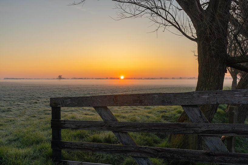 Foggy sunrise over the meadow by Bram Lubbers
