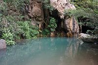 See in Vietnam