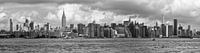 Concrete Jungle