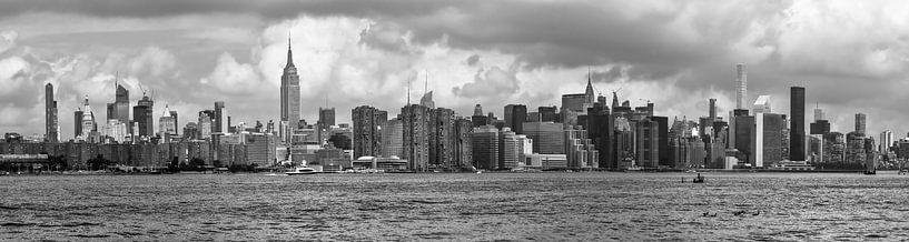 Concrete Jungle by Grafo