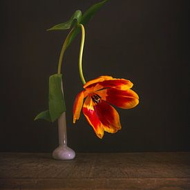 stilleven met een tulp op een donkere achtergrond van Mykhailo Sherman