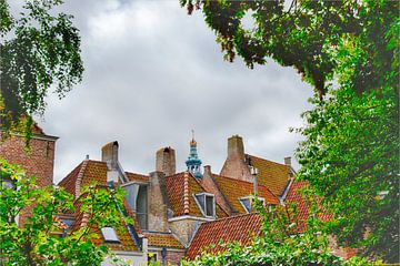 De daken van Middelburg